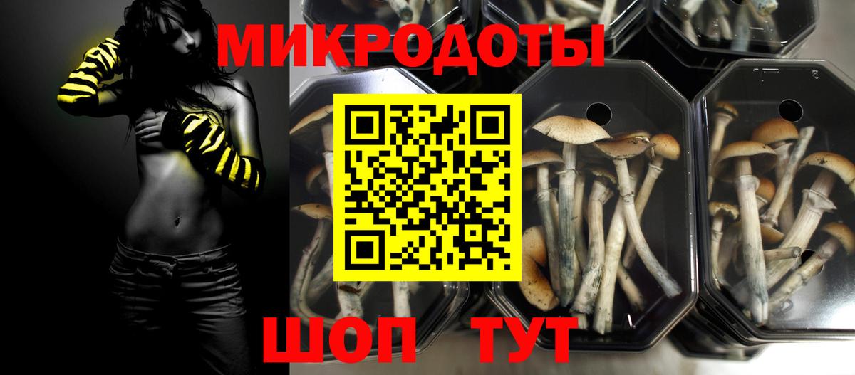 Галлюциногенные грибы Magic Shrooms  Вход с VPN  Псилоцибиновые грибы Psilocybe  Томск 