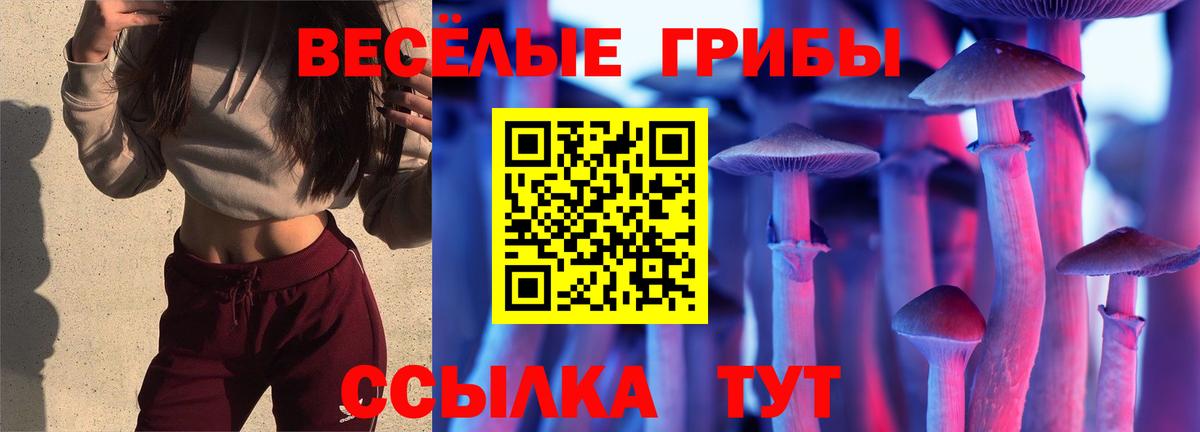 Псилоцибиновые грибы мицелий Томск